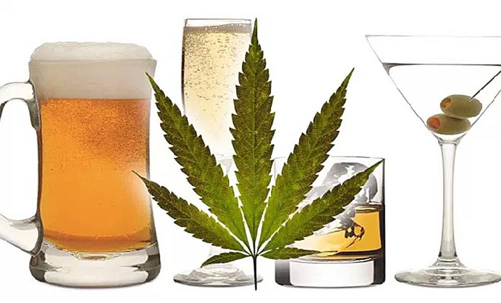 Alkoholicy Leczeni Marihuaną, Konopiami Indyjskimi, HighStore