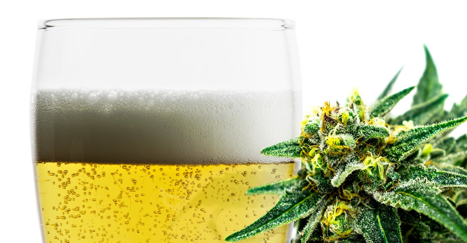 Jak Przygotować Piwo z Marihuaną?, HighStore