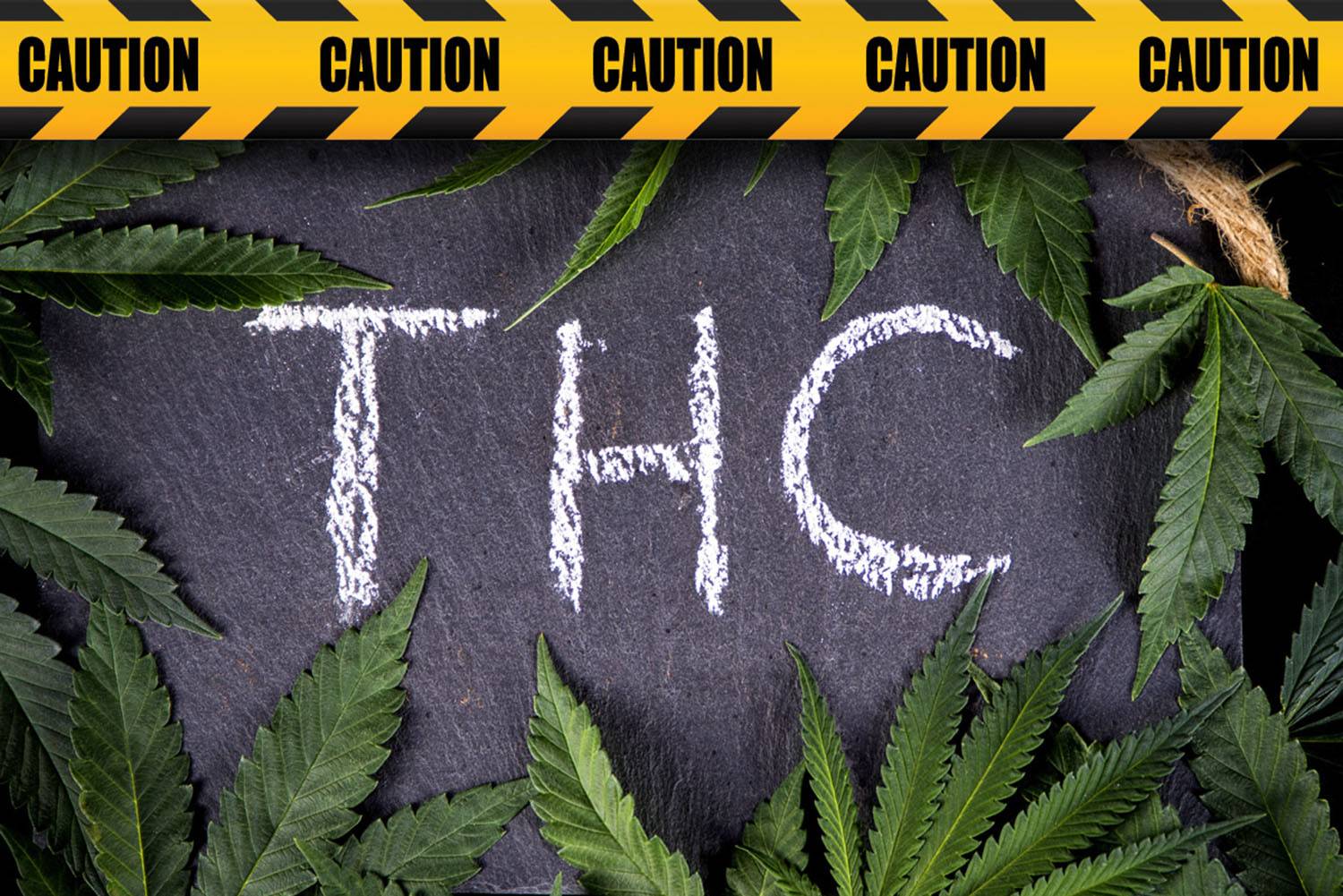 THC w Marihuanie Medycznej, HighStore